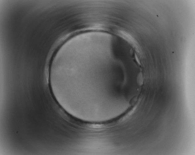 X0000088201180200705292026
