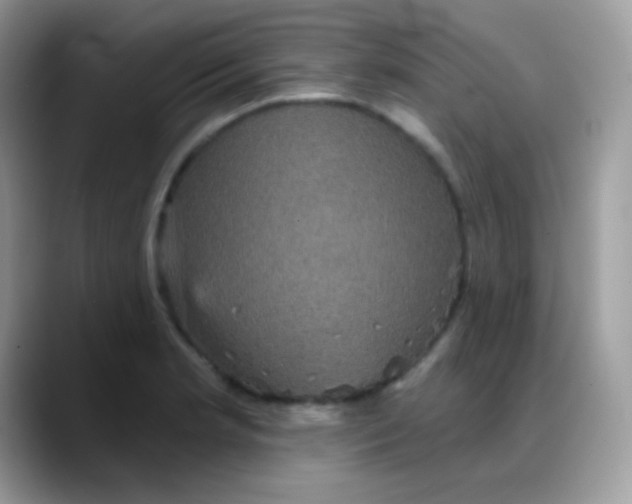 X0000088201181200705292026