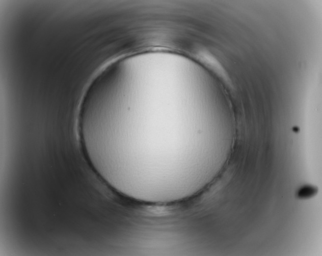 X0000088201182200705292026