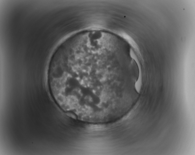 X0000088201183200705292026
