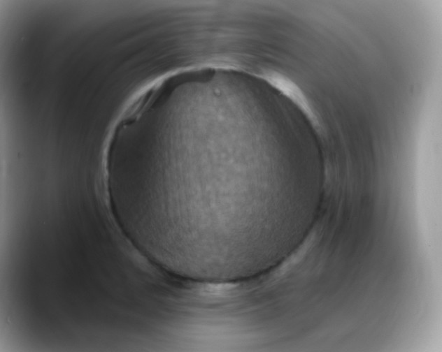 X0000088201184200705292026