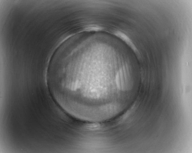 X0000088201186200705292026