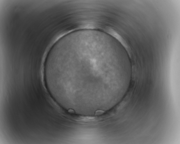 X0000088201187200705292026