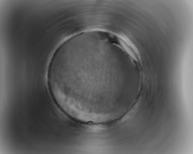 X0000088201189200705292026
