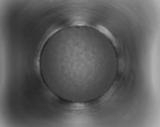 X0000088201190200705292026