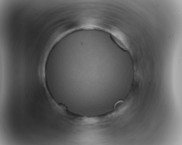 X0000088201191200705292026