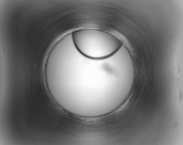 X0000088201192200705292026