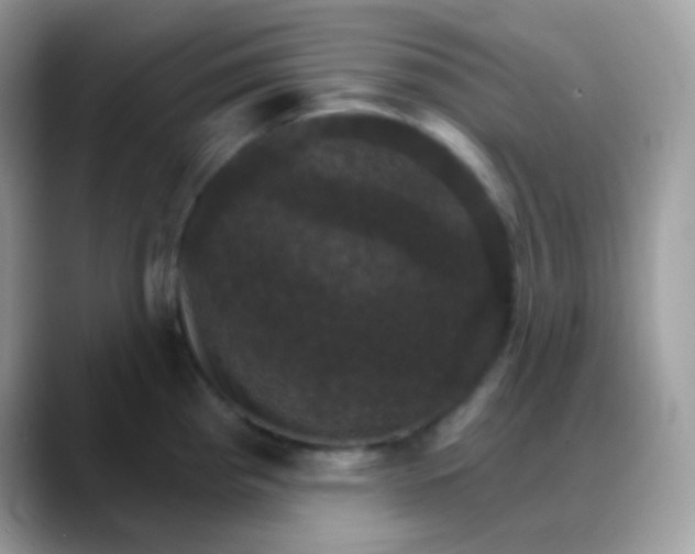 X0000088201193200705292026