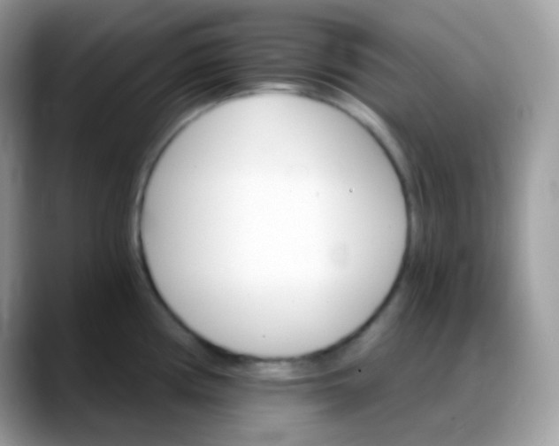 X0000088201194200705292026