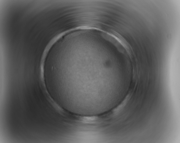 X0000088201196200705292026