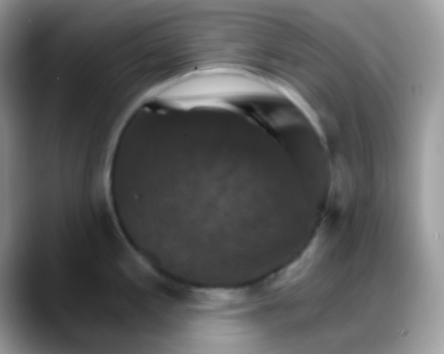X0000088201197200705292026