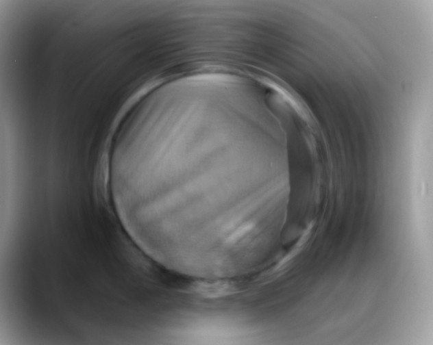 X0000088201198200705292026