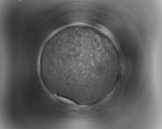 X0000088201199200705292026