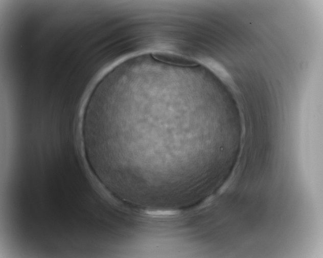 X0000088201200200705292026