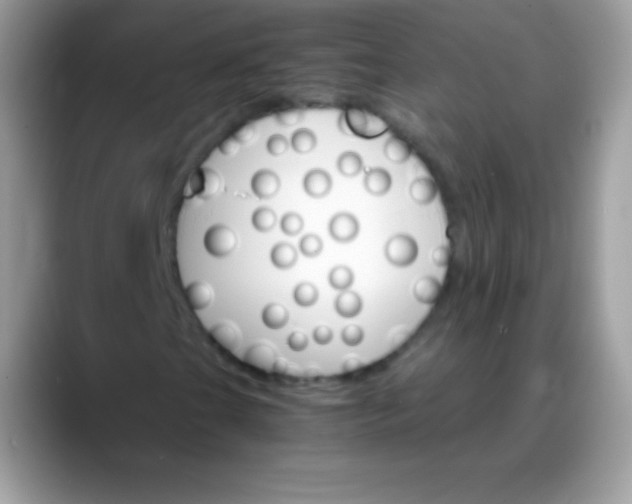 X0000088201201200705292025