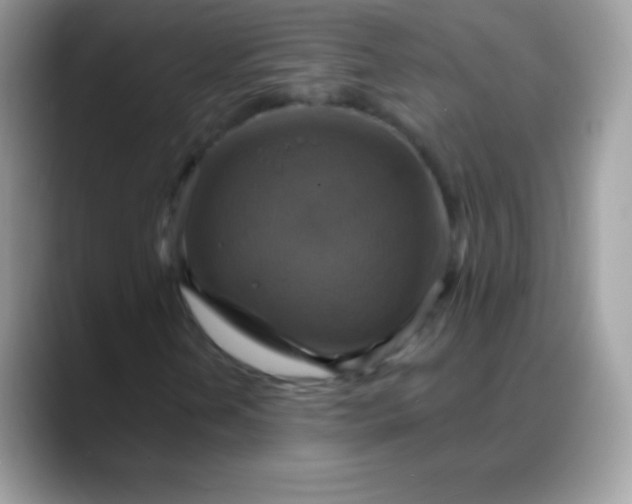 X0000088201202200705292025