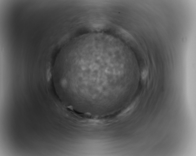 X0000088201204200705292025