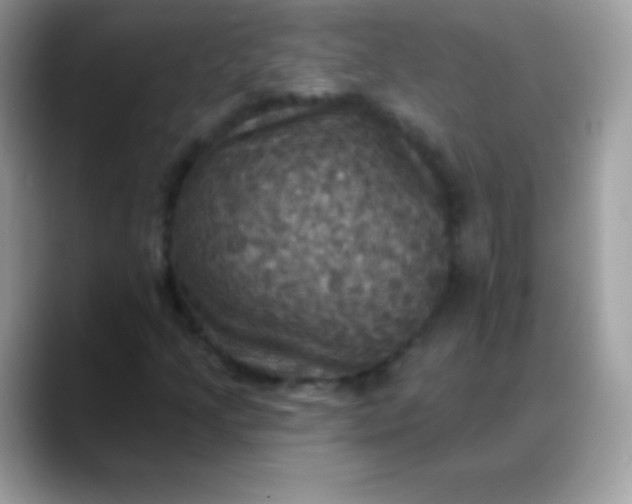 X0000088201205200705292025