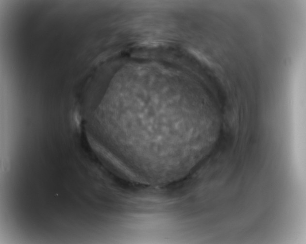 X0000088201206200705292025