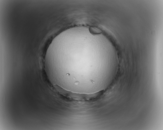 X0000088201207200705292025