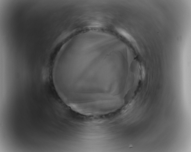 X0000088201208200705292025