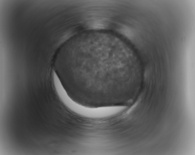 X0000088201209200705292025