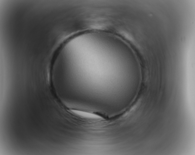 X0000088201214200705292026
