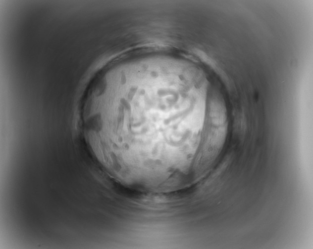 X0000088201215200705292026