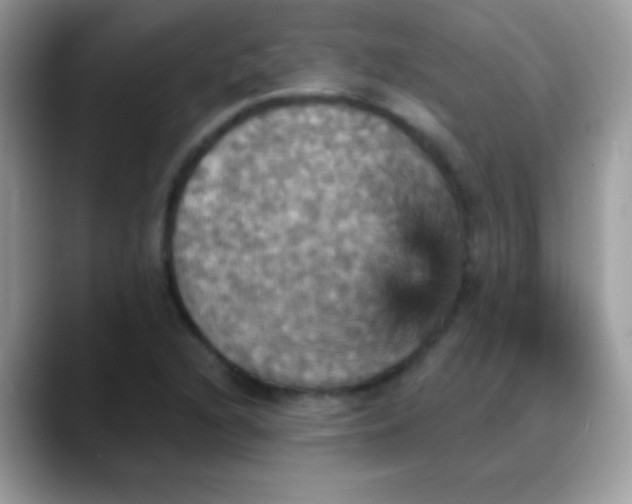 X0000088201216200705292026