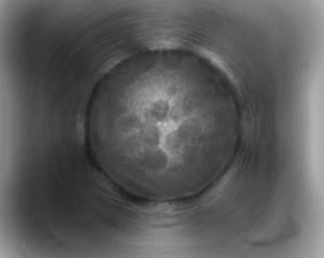 X0000088201217200705292026