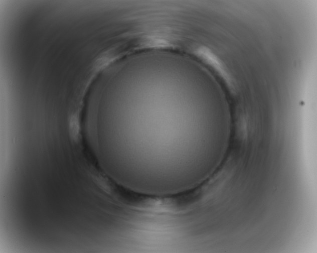 X0000088201218200705292026