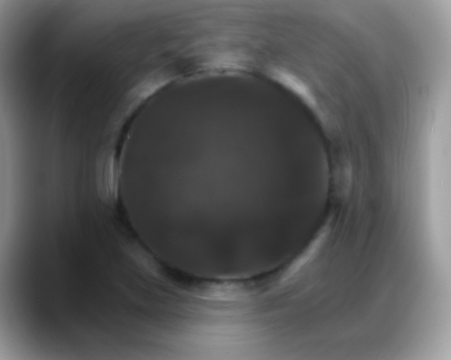 X0000088201219200705292026
