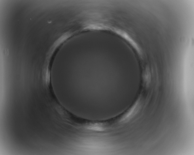 X0000088201221200705292026