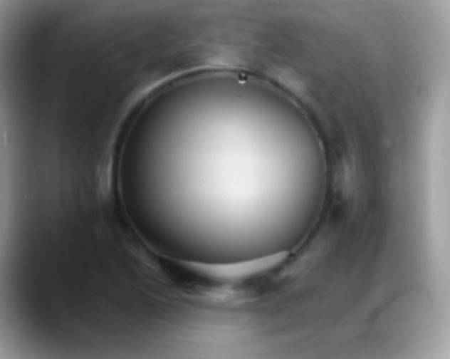 X0000088201222200705292026