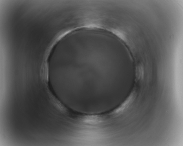 X0000088201223200705292026