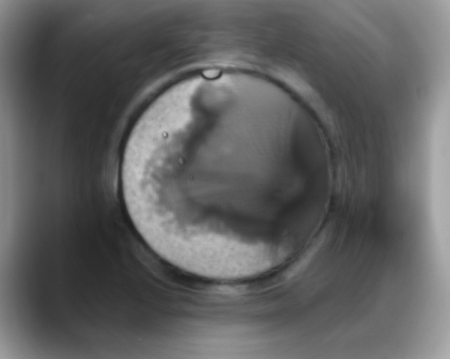 X0000088201224200705292026