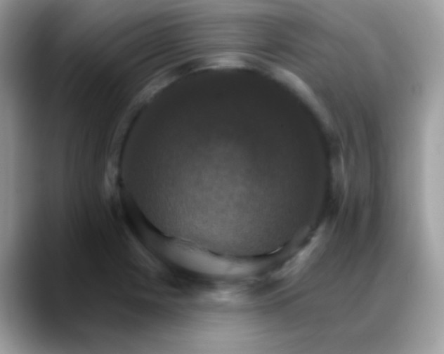 X0000088201225200705292026