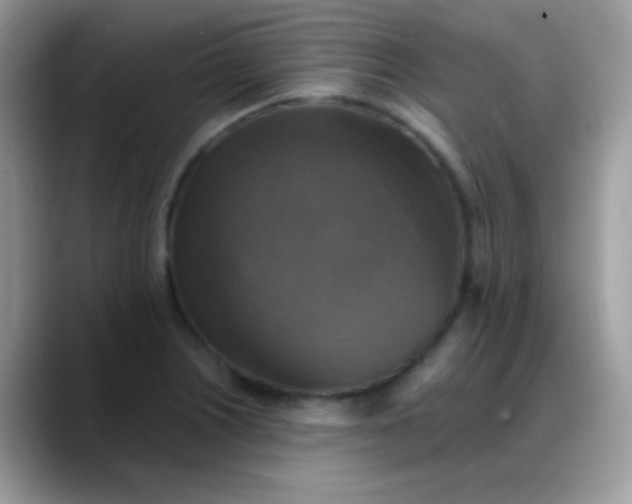 X0000088201226200705292026