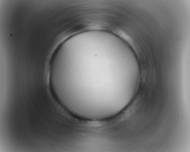 X0000088201227200705292026