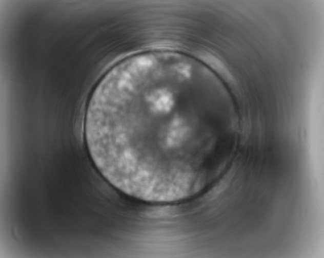 X0000088201228200705292026