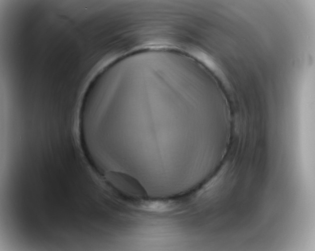 X0000088201229200705292026