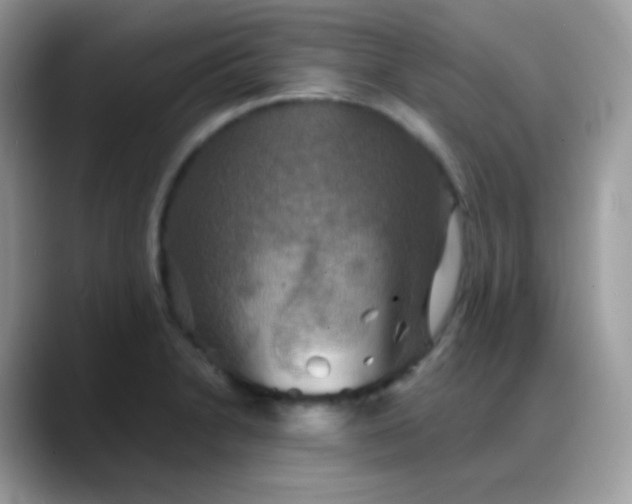 X0000088201230200705292026