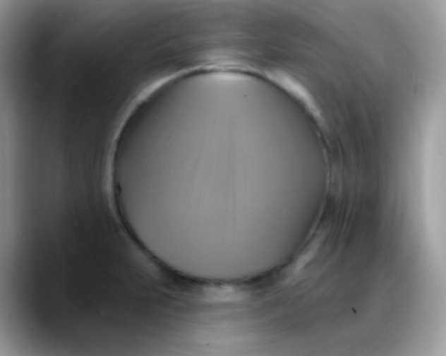 X0000088201231200705292026