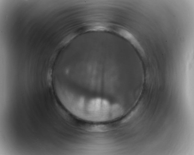 X0000088201233200705292026
