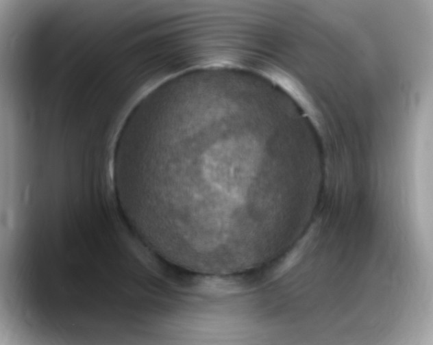 X0000088201234200705292026