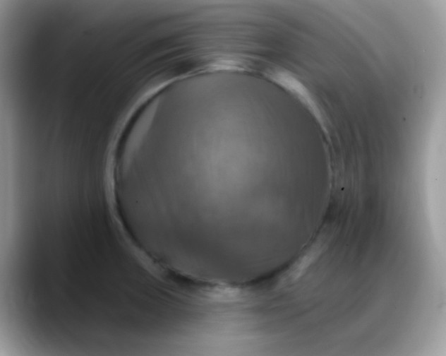 X0000088201235200705292026