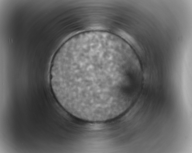 X0000088201236200705292026