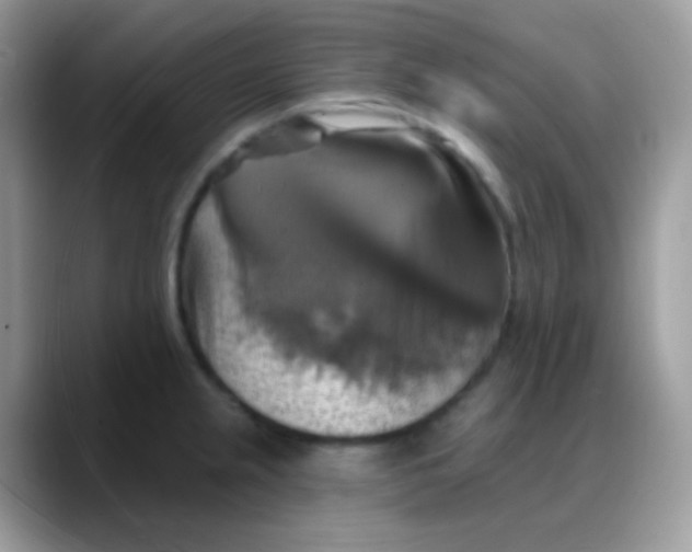 X0000088201237200705292026