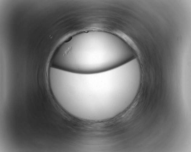 X0000088201238200705292026