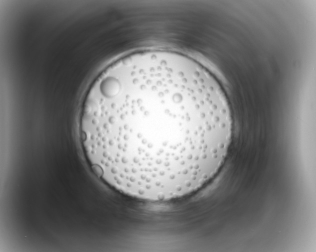 X0000088201239200705292026
